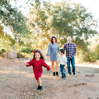 Friedman Family